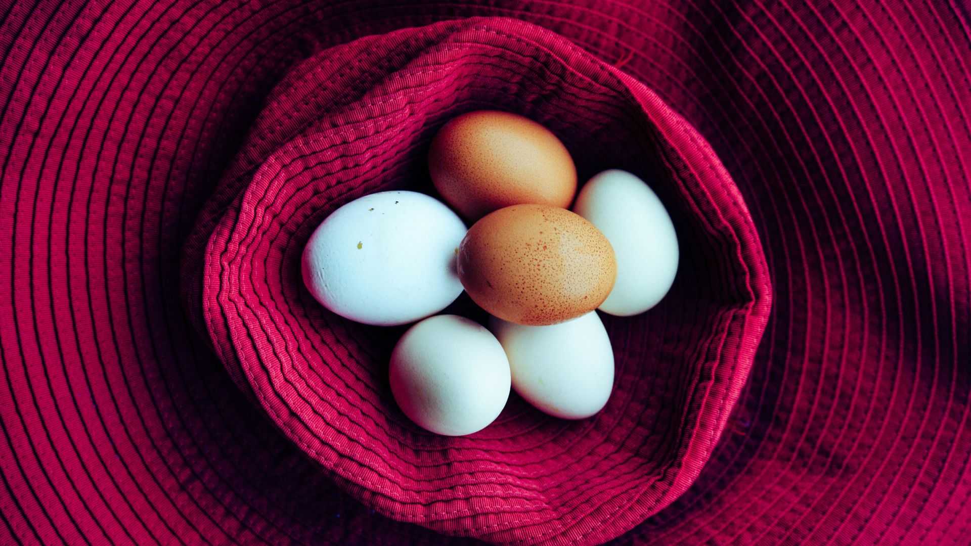 Telur Ayam vs Telur Bebek, Mana yang Lebih Tinggi Kolesterolnya